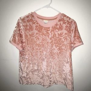 A New Day - Crushed Velvet Pale Pink Floral Top